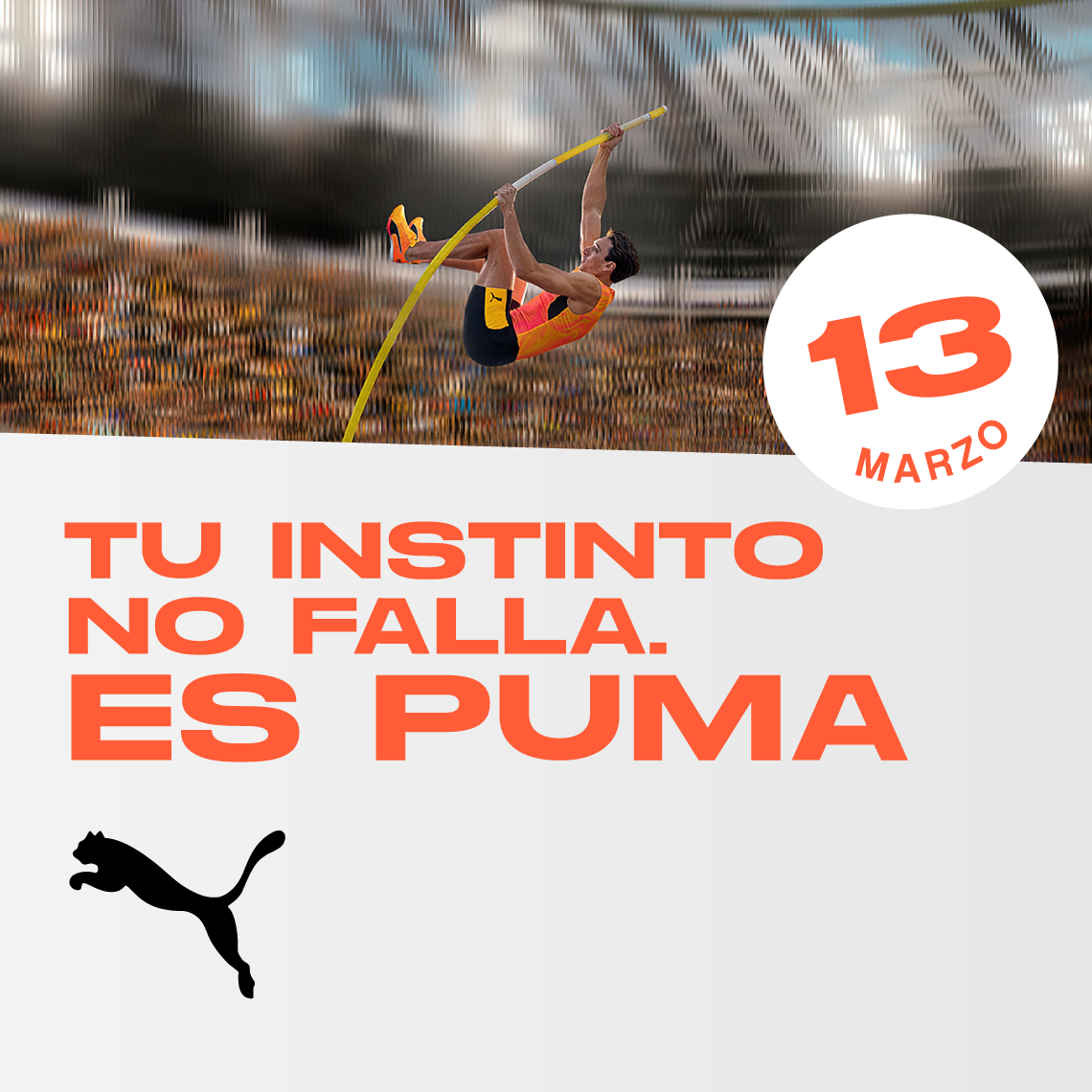 puma nueva apertura