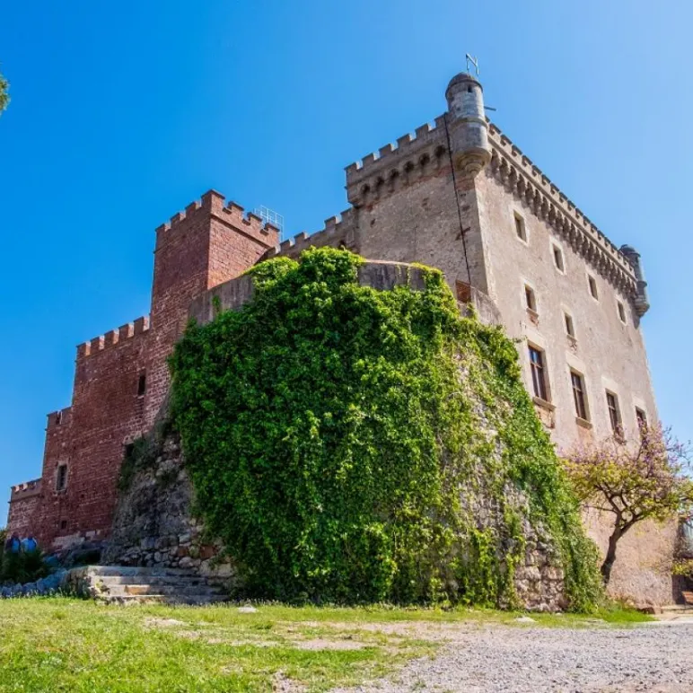 a castle surrounded by gardens under a blue sky